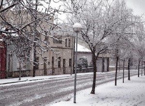 Carretera de Cànoves a l’alçada del carrer Miquel Martí i Pol Font: Clàudia Clavell